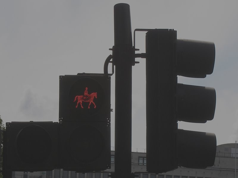 horse traffic lights by Volodymyr Giginiak