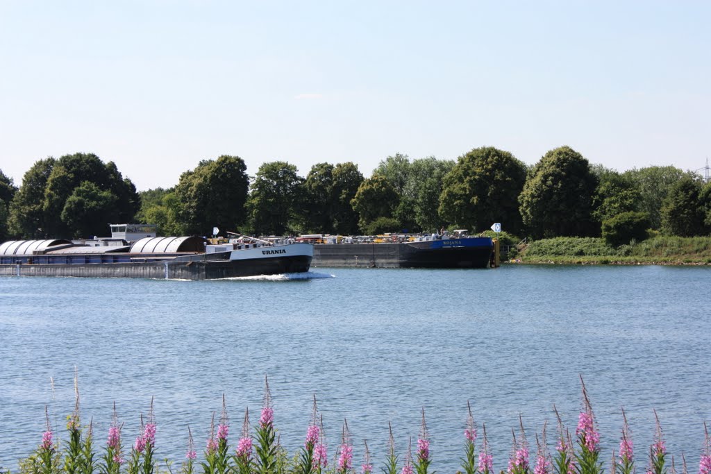 Rhein-Herne-Kanal by herbe des pampa