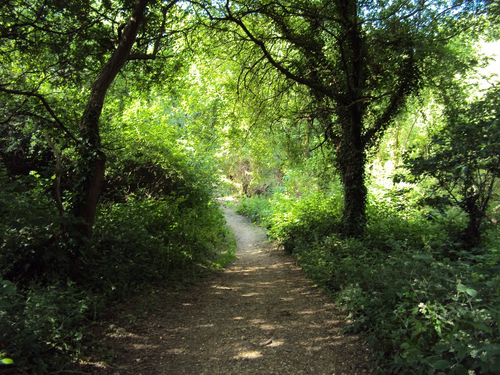 Sholing Wood. by Wade11