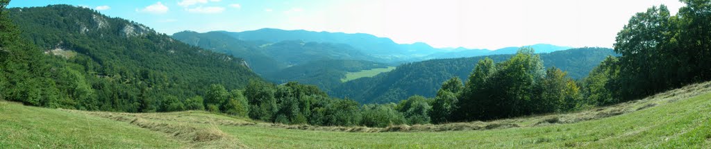 Pan. Zwischenstation am Weg auf die Hohe Mandling by Michael Pigler