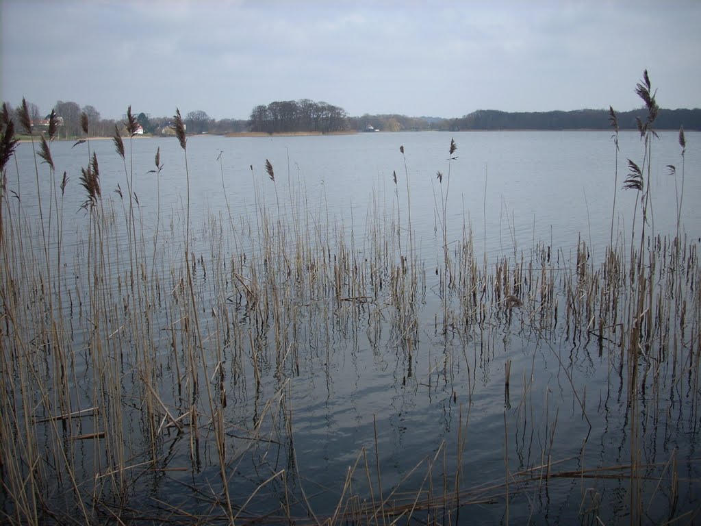 View of the lake "Bagsværd Sø" by dpr