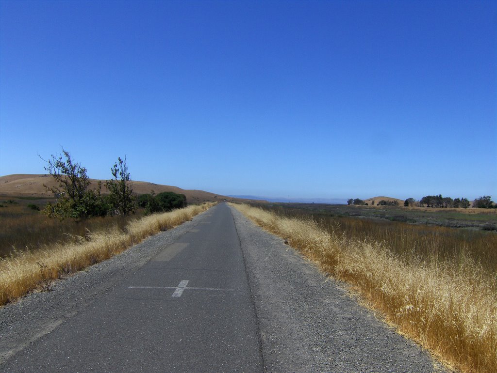 Coyote Hills Regional Park, Alameda Creek Trail by grey3000