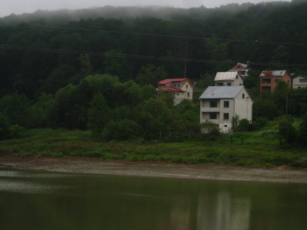 Лісова пара, перед дощем .. by Andrij Gural