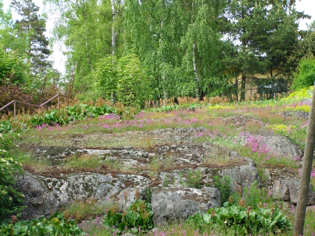 Flowers of Mellunmäki by Inigma2005