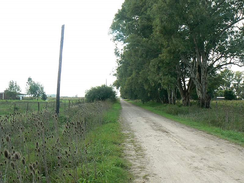 Camino rural de Uribelarrea by HernanSzel