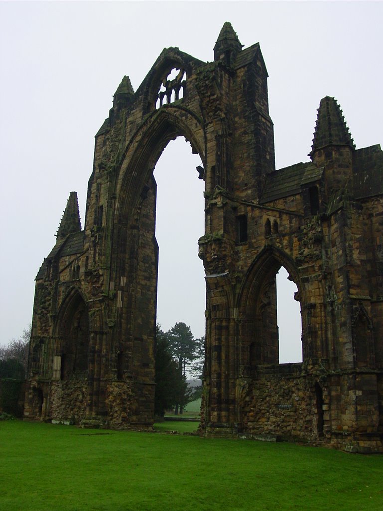 Guisborough Priory by Mike Albert