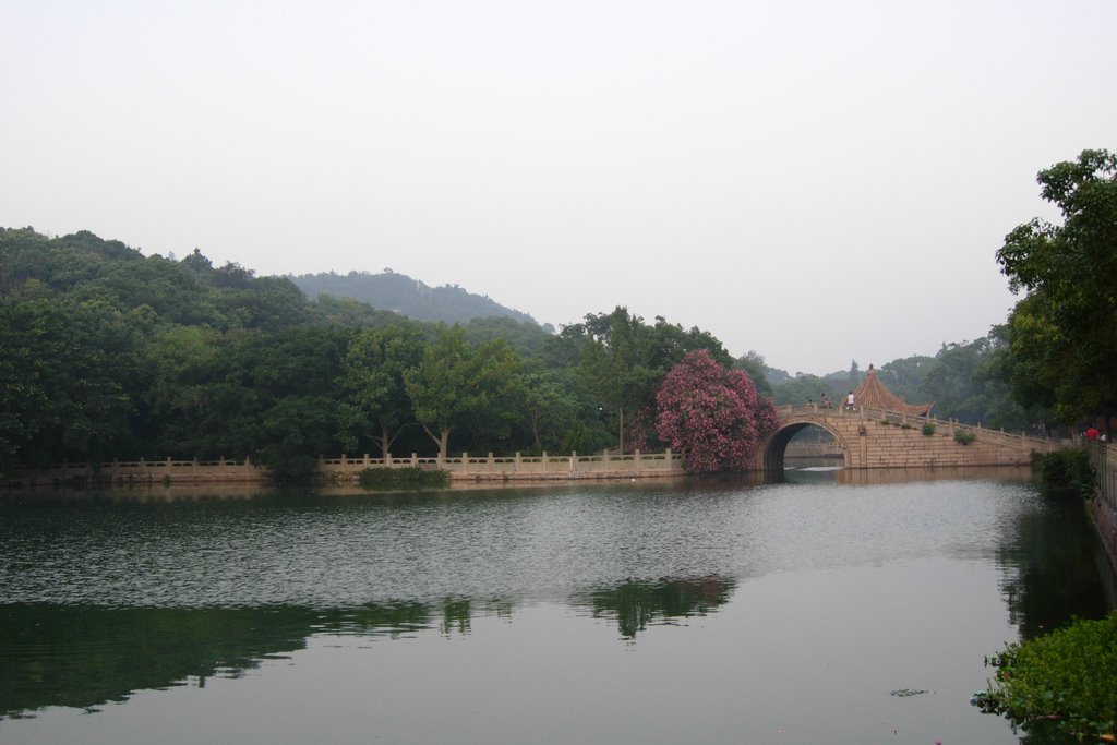 普济寺前的海印池(Pool Haiying with lotus at the front of Puji Temple) by maxtino_Rey