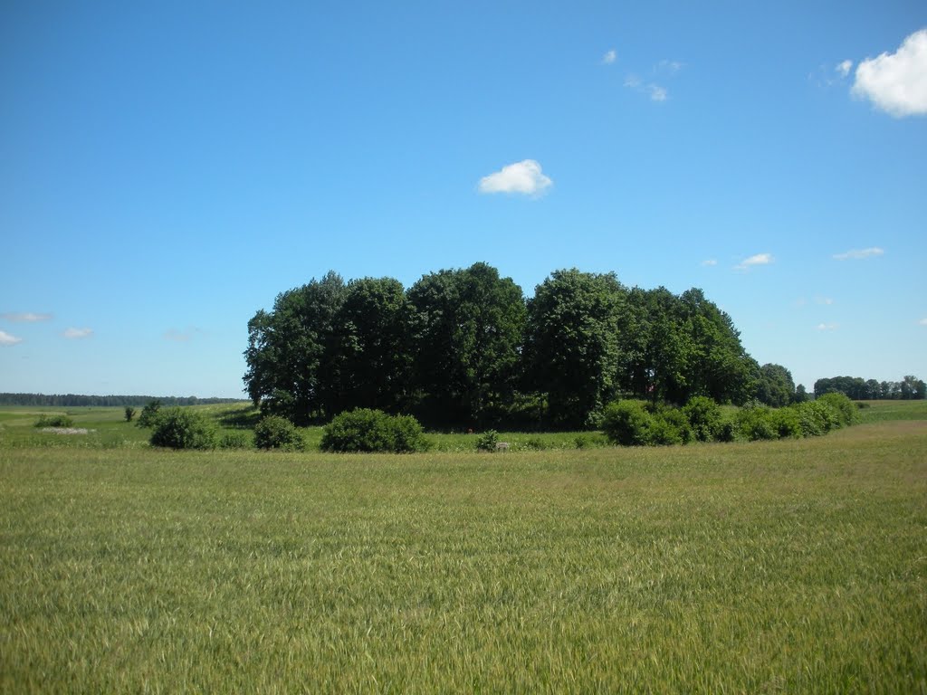 Vainatrakio piliakalnis (Vainatrakis mound) by MrEko