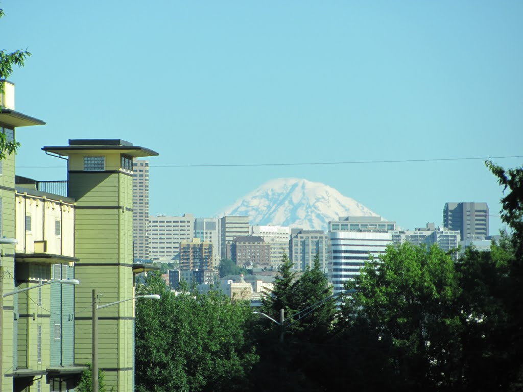 Mt Rainier by Chandira