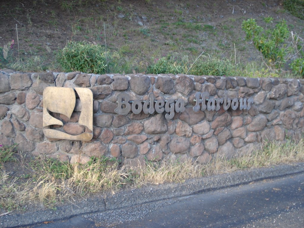 Bodega Harbour Sign by Justin Marty