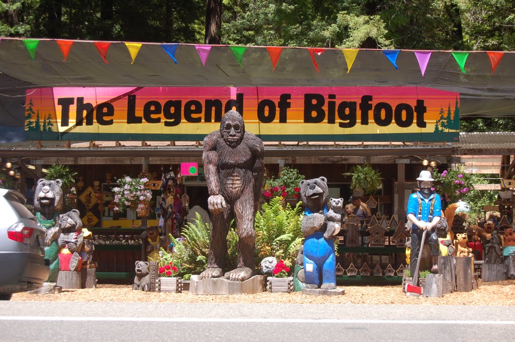 Big Foot Store by Wnewton48