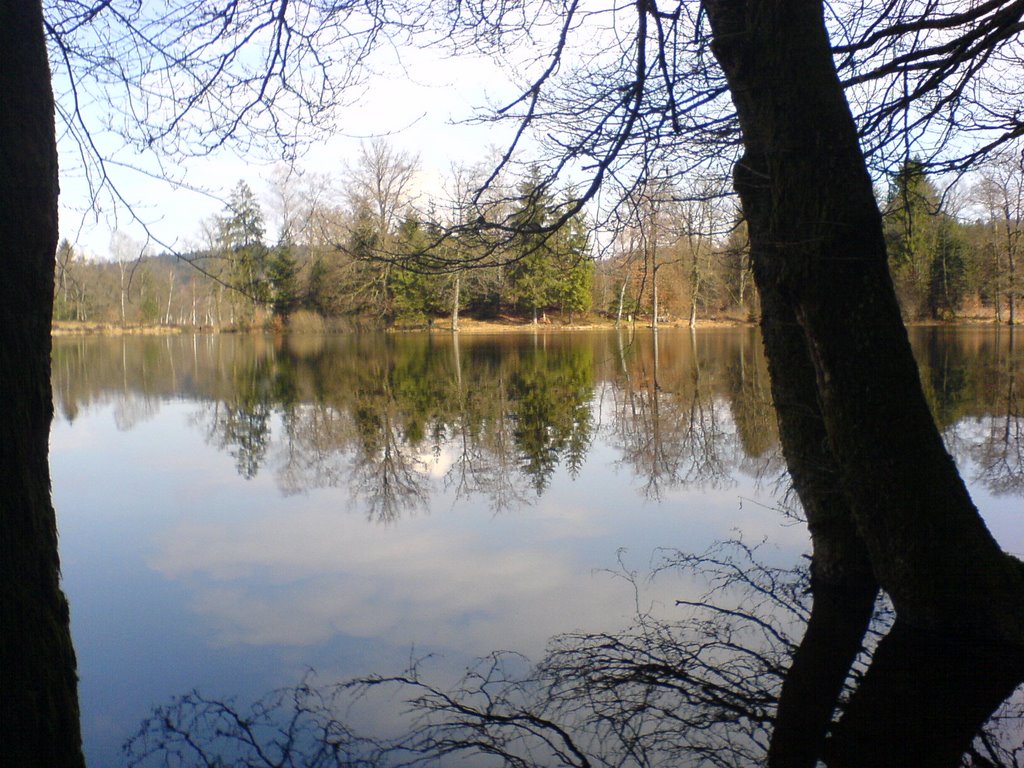 Etang de la Demoiselle près de Remiremont by Brice Perrin