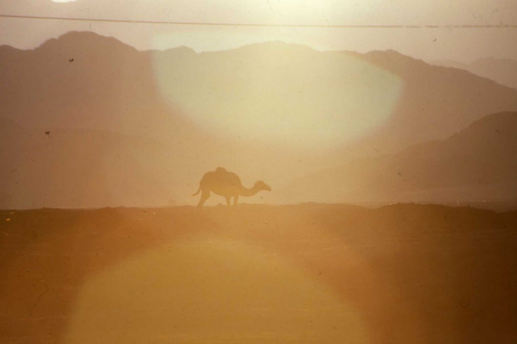 Summer in Dahab-Beduincamp ´88 by don-andi (mehler)