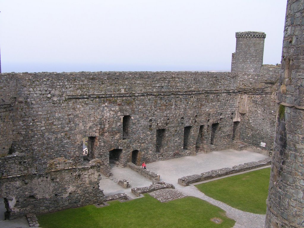 Harlech Castle by Mike Shields