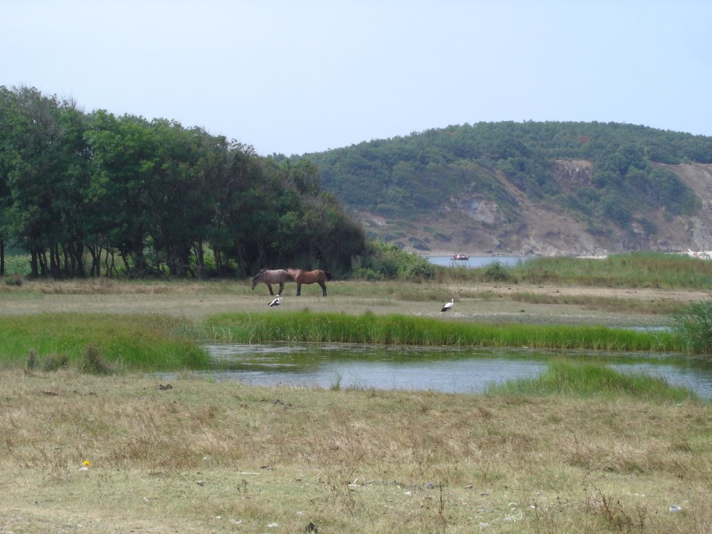 Reserve Veleka, Bulgaria by Svilen Enev