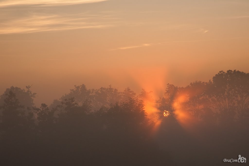 Misty morning sunrise (05:45) by © BraCom (Bram)