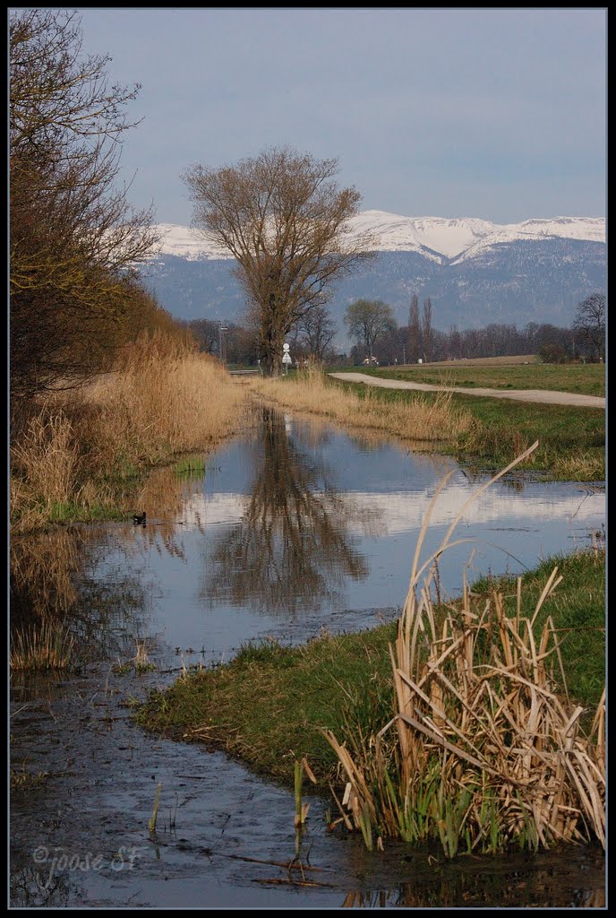 La Seymaz by fdrsandro