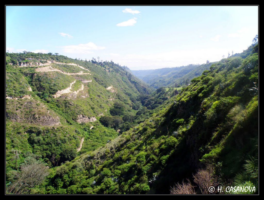 Quebrada Rio Guambi by H. Casanova