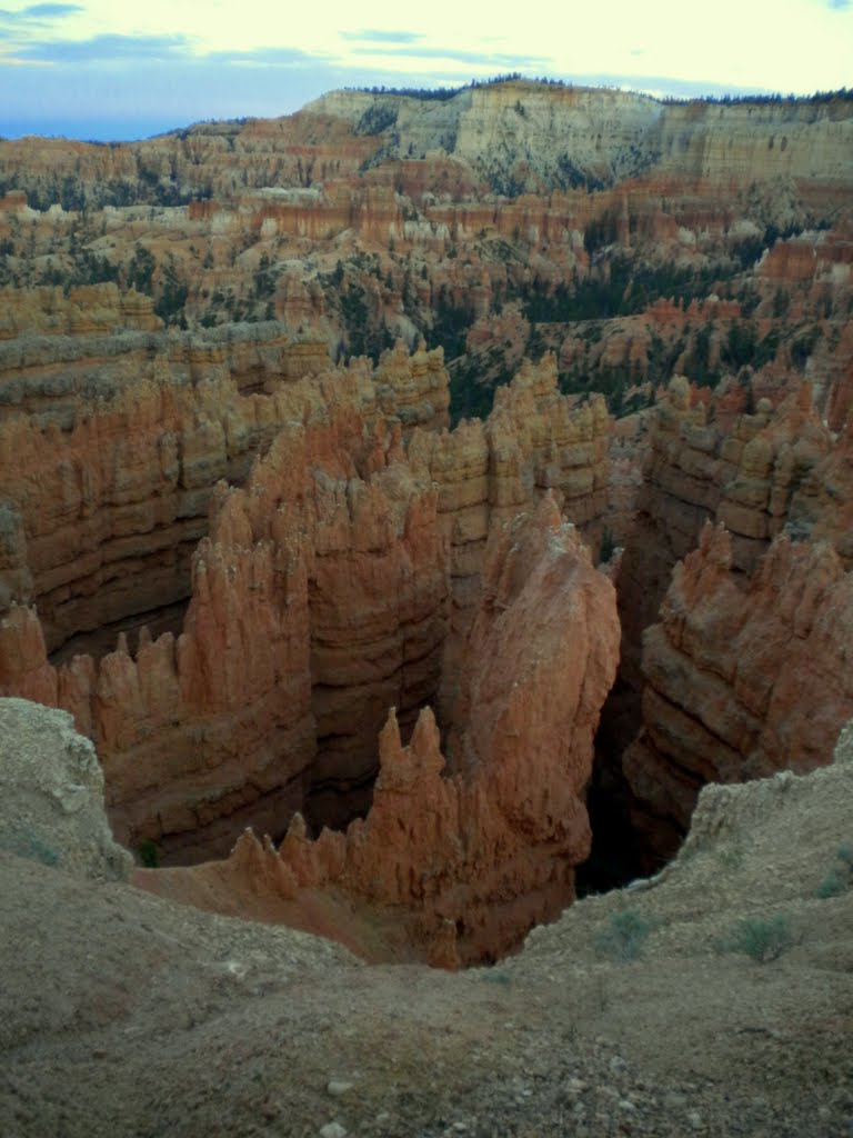 Bryce National Park by MoMof4