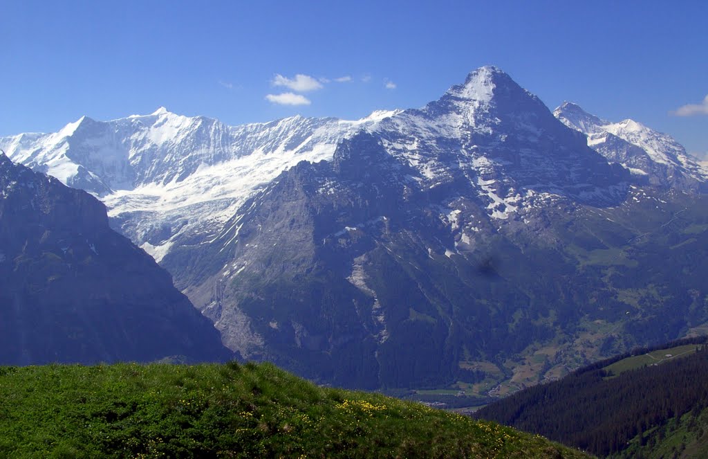 Grindelwald First Grossfiescherhorn + Eiger + Jungfrau T2010-06-27_036 © http://www.fahidi.eu by Béla Fahidi