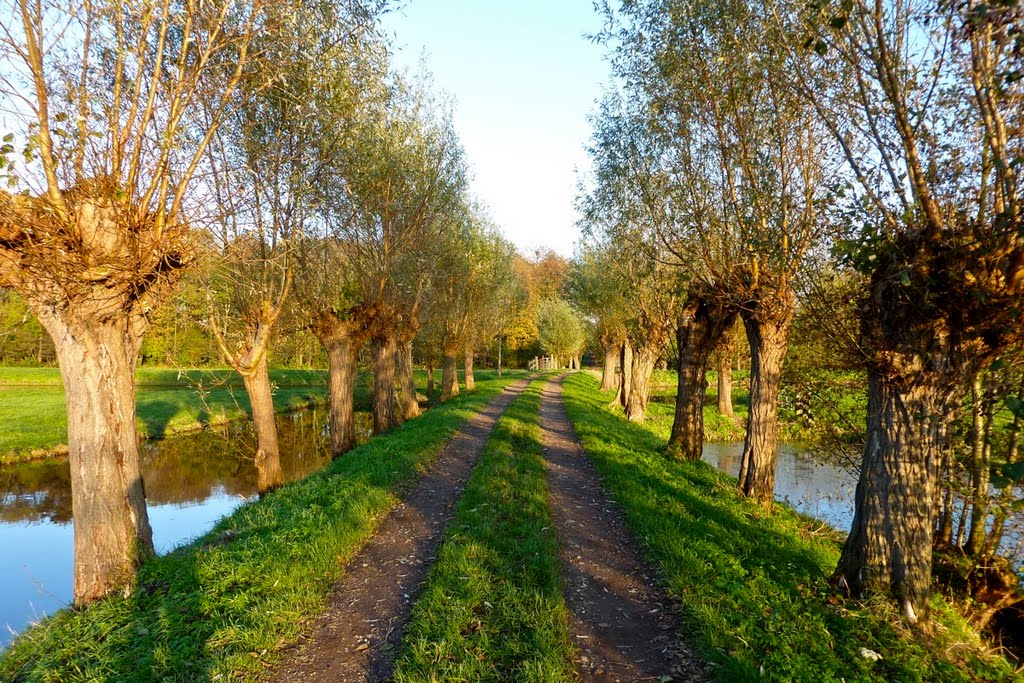 Dutch Landscapes - Ditches and Dikes #4 by Erik Eshuis