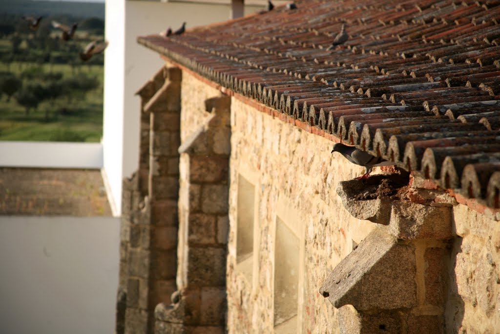 Pousada Flor da Rosa (Mosteiro de Santa Maria de Flor da Rosa, Mosteiro da Ordem do Hospital de Flor da Rosa), Crato, Alentejo, Portugal by Hans Sterkendries