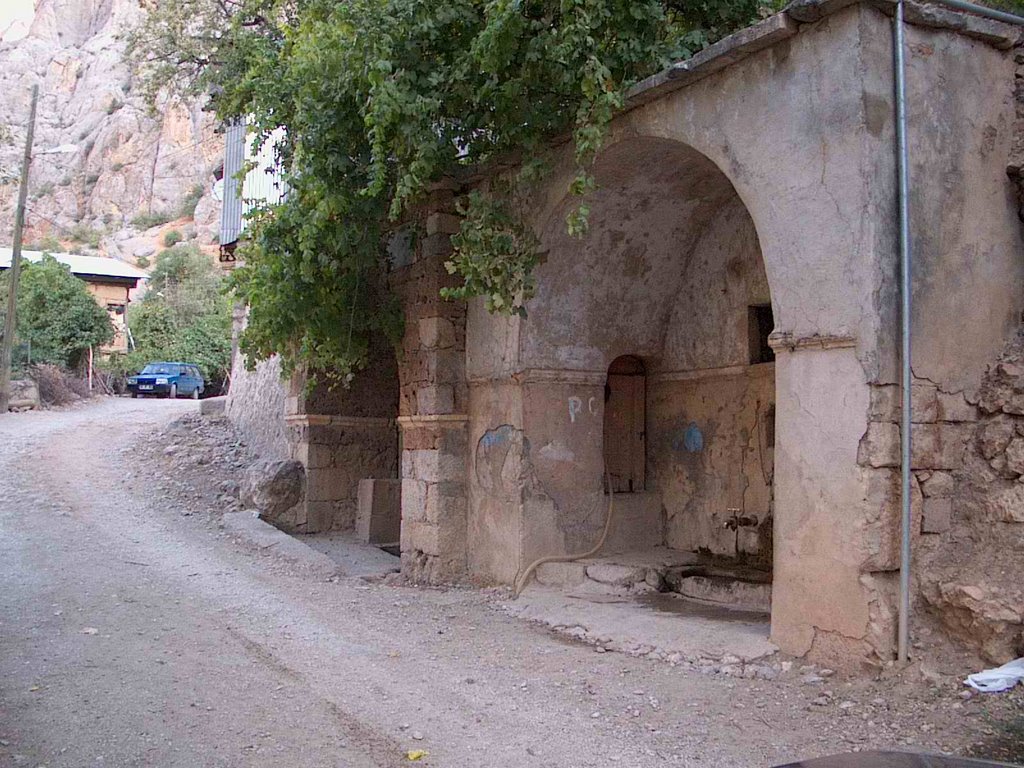 24600 Yaka/Kemaliye/Erzincan, Turkey by Hüseyin Yalçınkaya