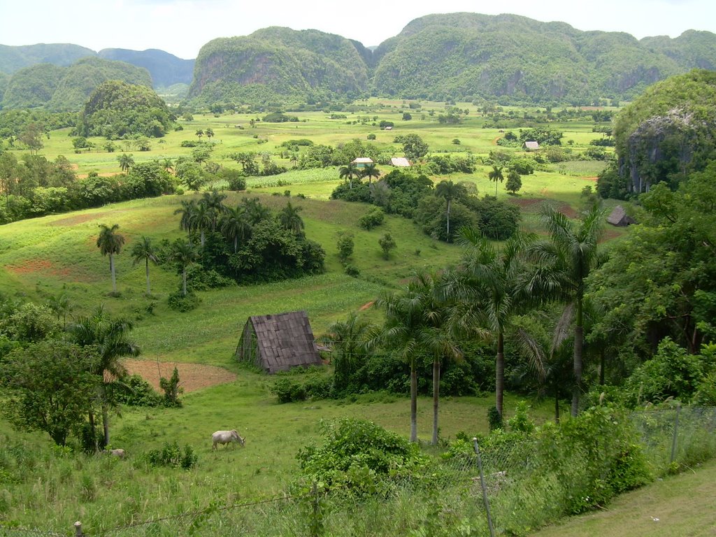 Vinales Los jazmines view by gjdutman