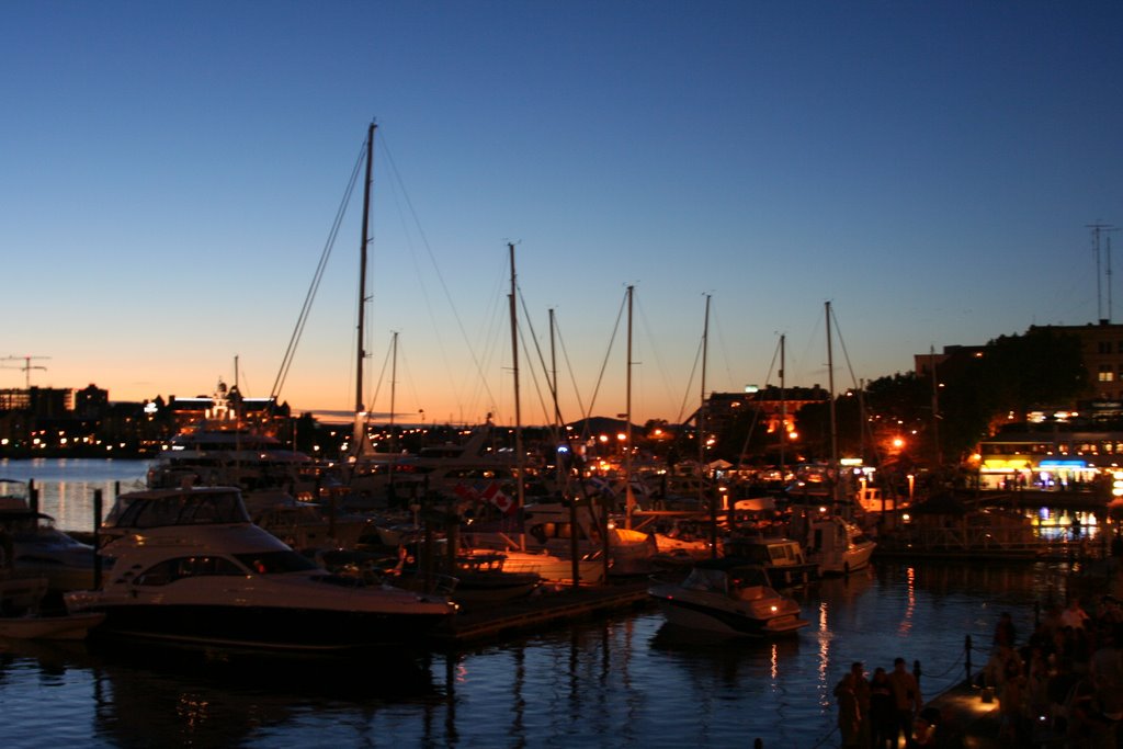 Bay Night Lights by Scott Alder