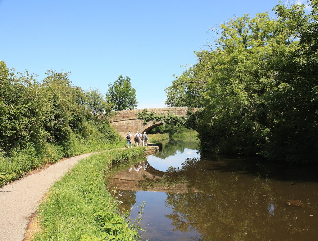 Lancaster Canal Bridge and Walkers by Tony Oldfield