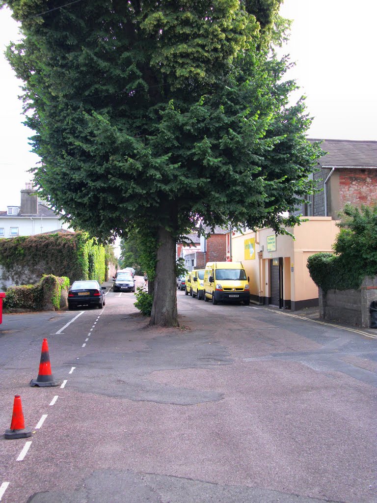 Not so much "Lime Avenue", and more "Lime-trees-in-middle-of Road"! by Cargy930