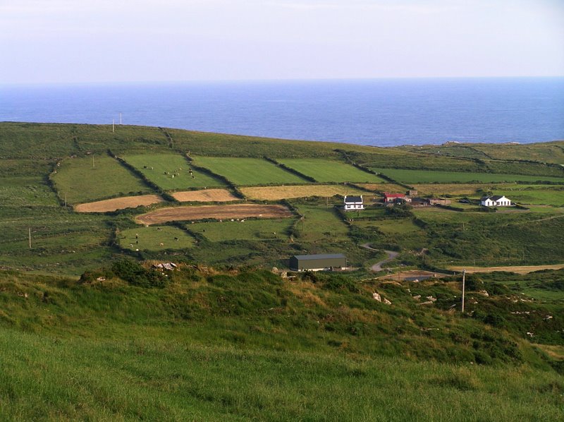 Mb - Irish Fields and Farmhouses by Margrit M. Berger (S…