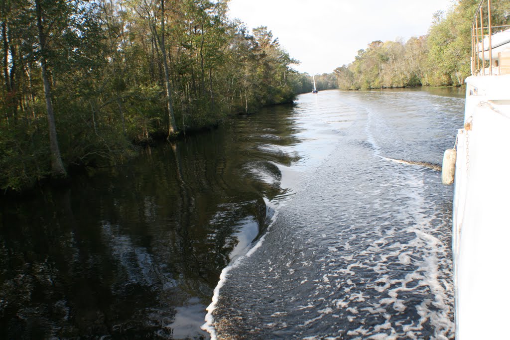 Travelling down The Great Dismal Swamp Canal towards Elizabeth City by Weegible