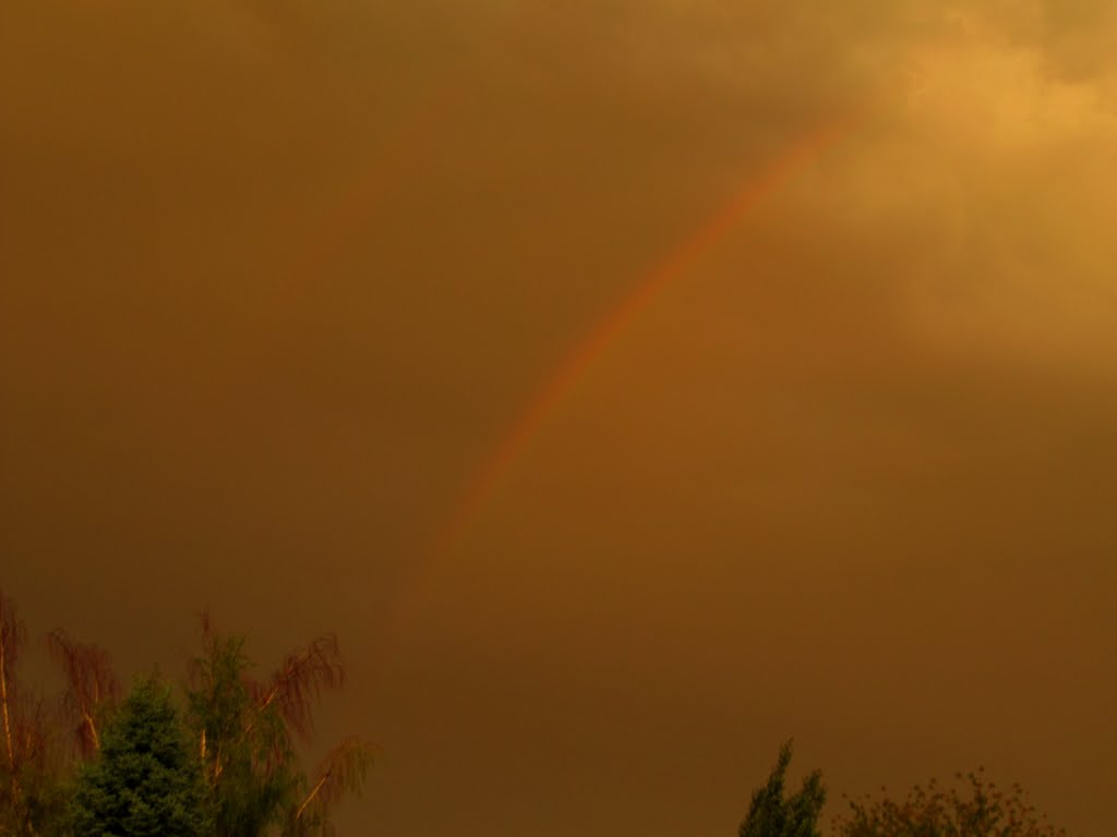 A Gorgeous Rainbow Over Sherwood Park AB, East of Edmonton June '10 by David Cure-Hryciuk