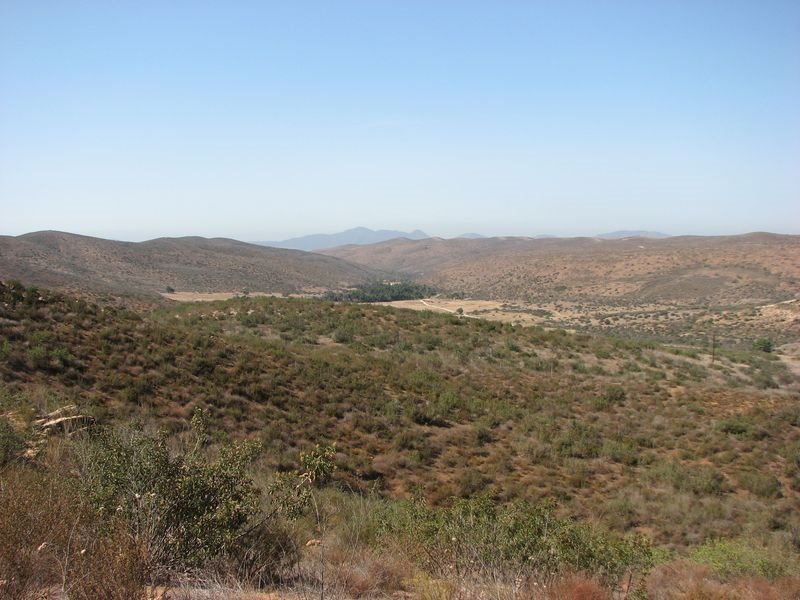 Sycamore Canyon from Martha's Grove Trail by rsduhamel