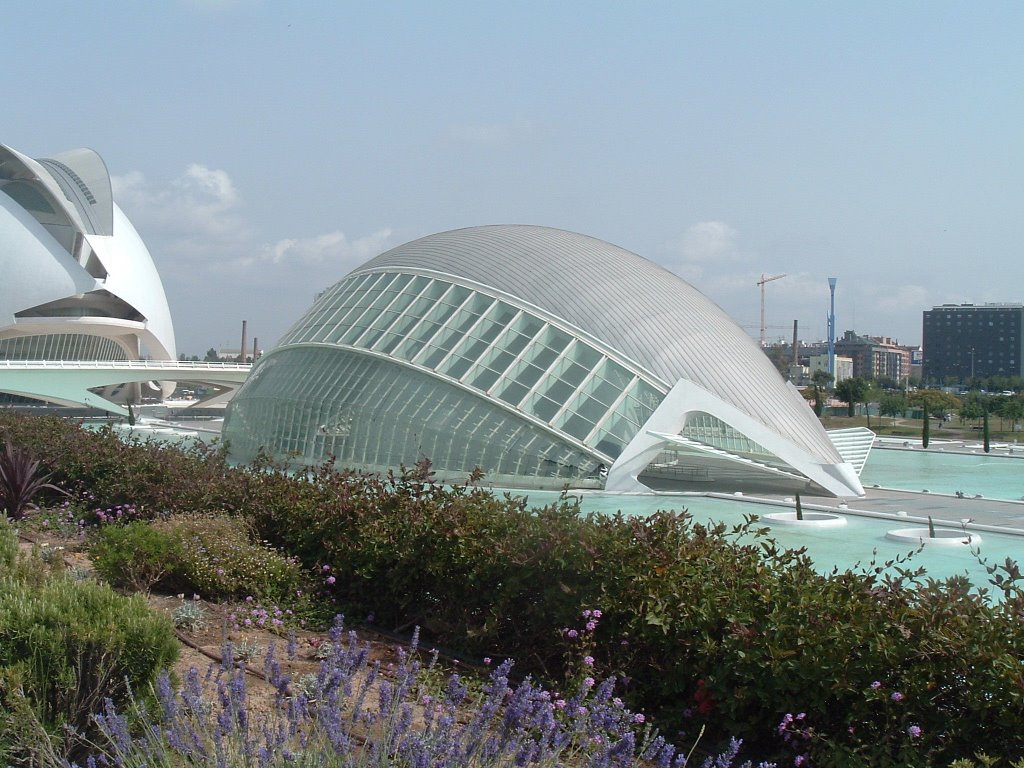 VALENCIA-HEMISFERICO by jose macias garcia