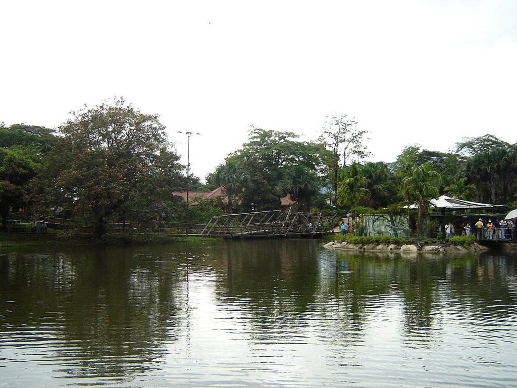 Vista lateral del lago desde el herpetario by Gustavo Barros