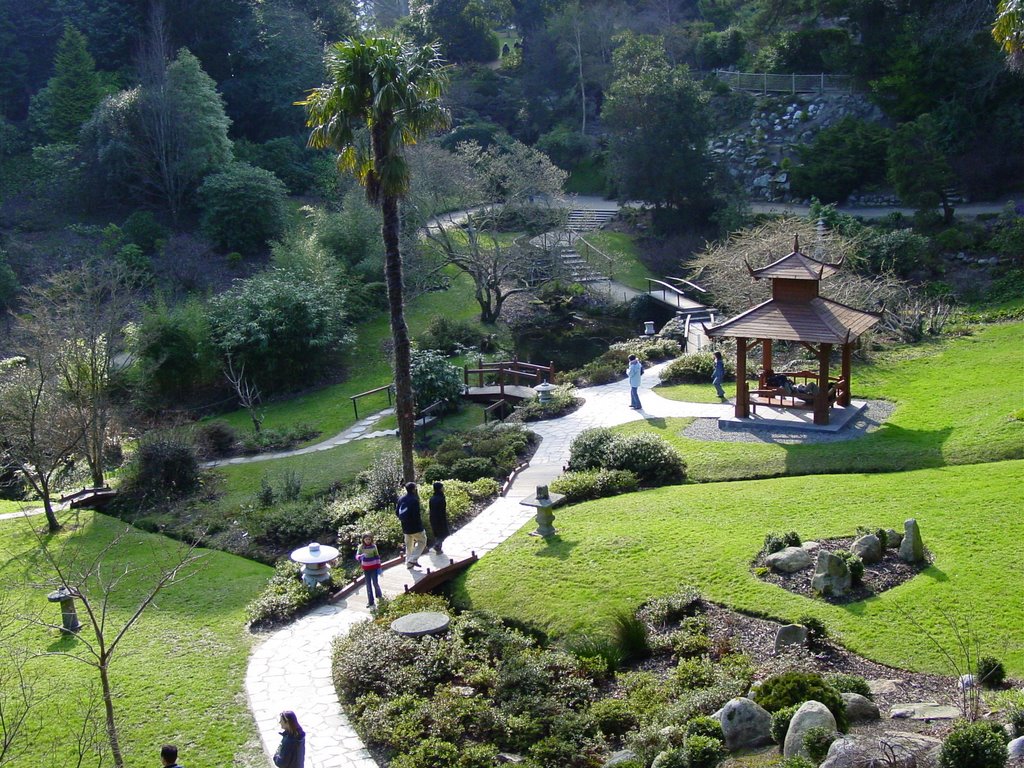 Japanese Gardens by woodford