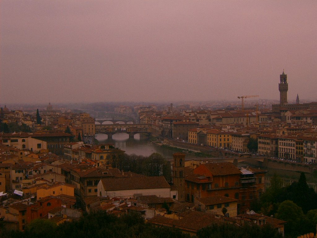 Firenze Panorama by m.catanzaro