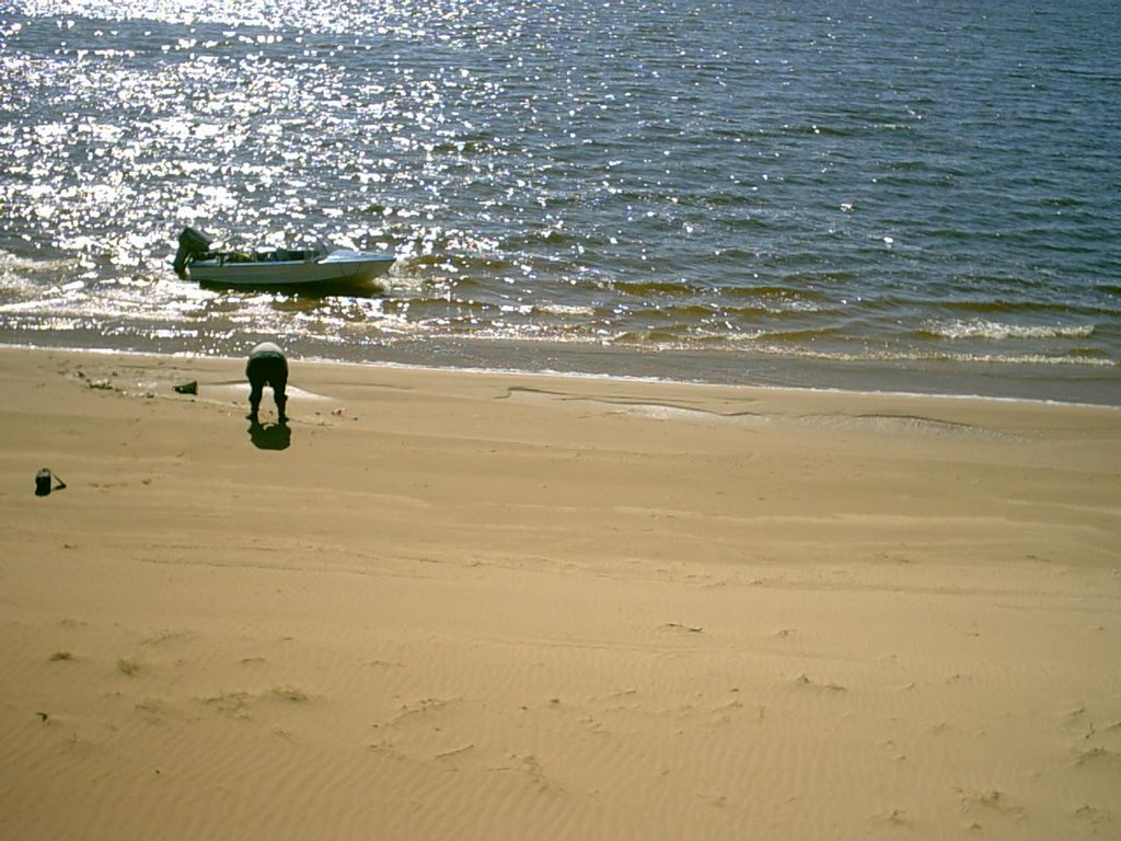 PLAYA DESDE EL MÉDANO by laboya