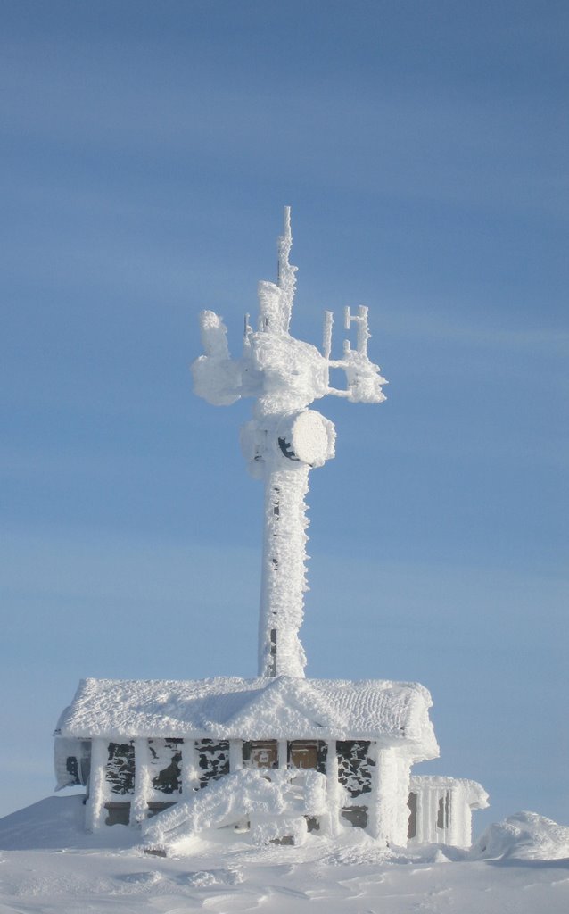 Whistler Frozen by Bobby J Baker