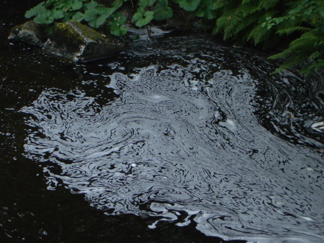 nice water in the river by Nathan de Vries