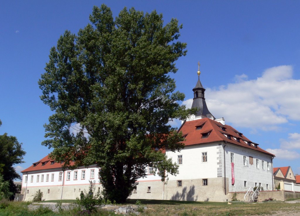 Zámek Dobřichovice by Ladislav Soukup