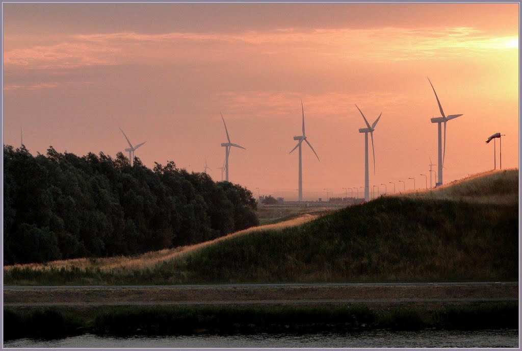 *Upcoming Sun Windmills... by Chris10 ©