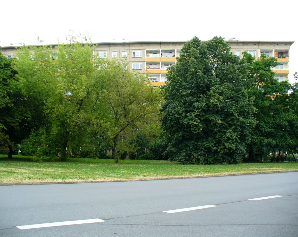 Chemnitz - Wohngebiet Hans Beimler mit viel Grün by Thomas Eichler