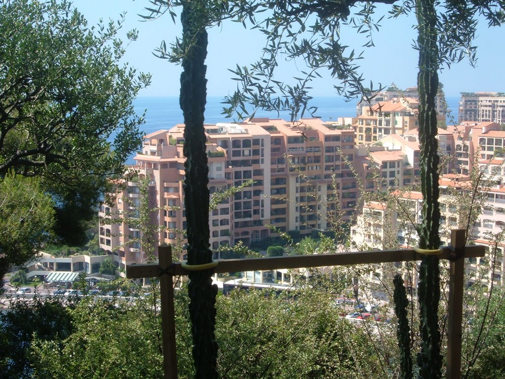 Monaco by B.K.1