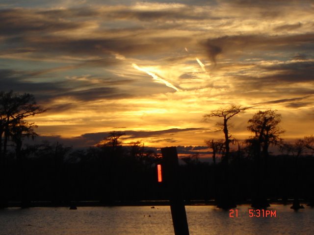 Caddo Lake by Tsmith