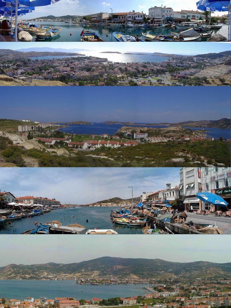 foca pano collage by vehbi mogol