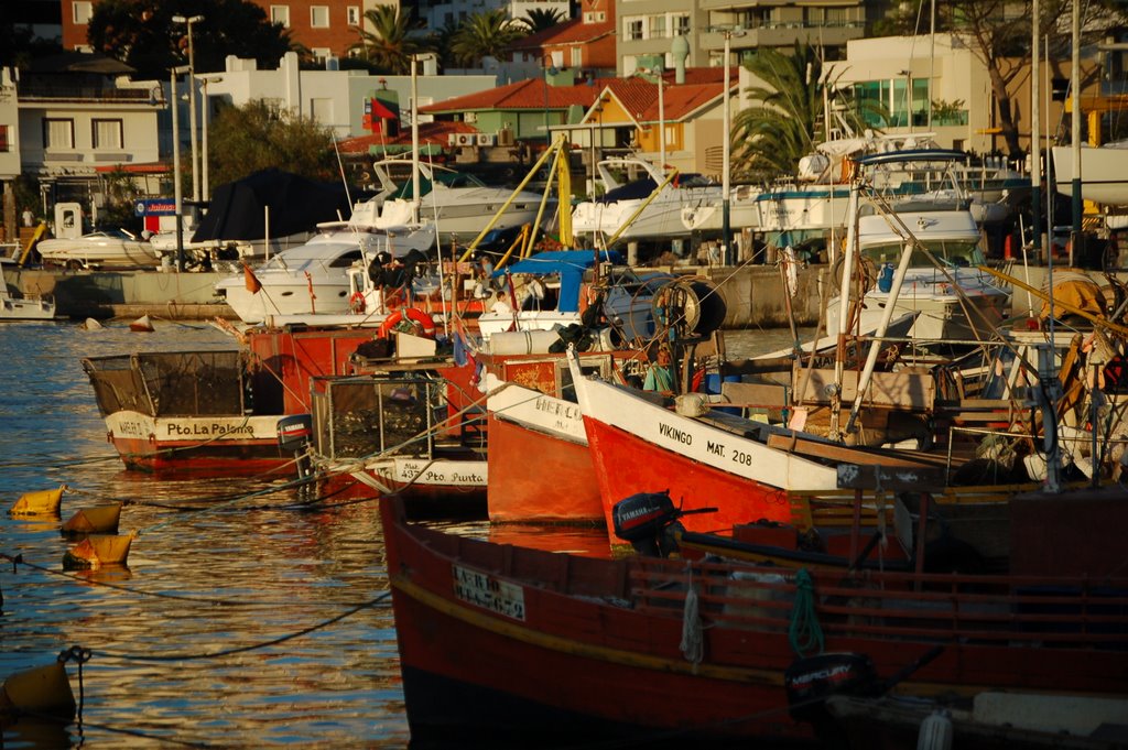 Pesqueros en el Puerto by Pablo Torres