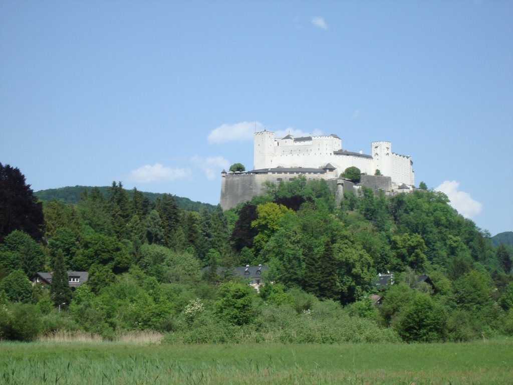 Castelo de Salzburgo by Paulo César Pereira